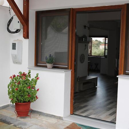 Villa Sofia Marathos (Thessaly) Exterior foto
