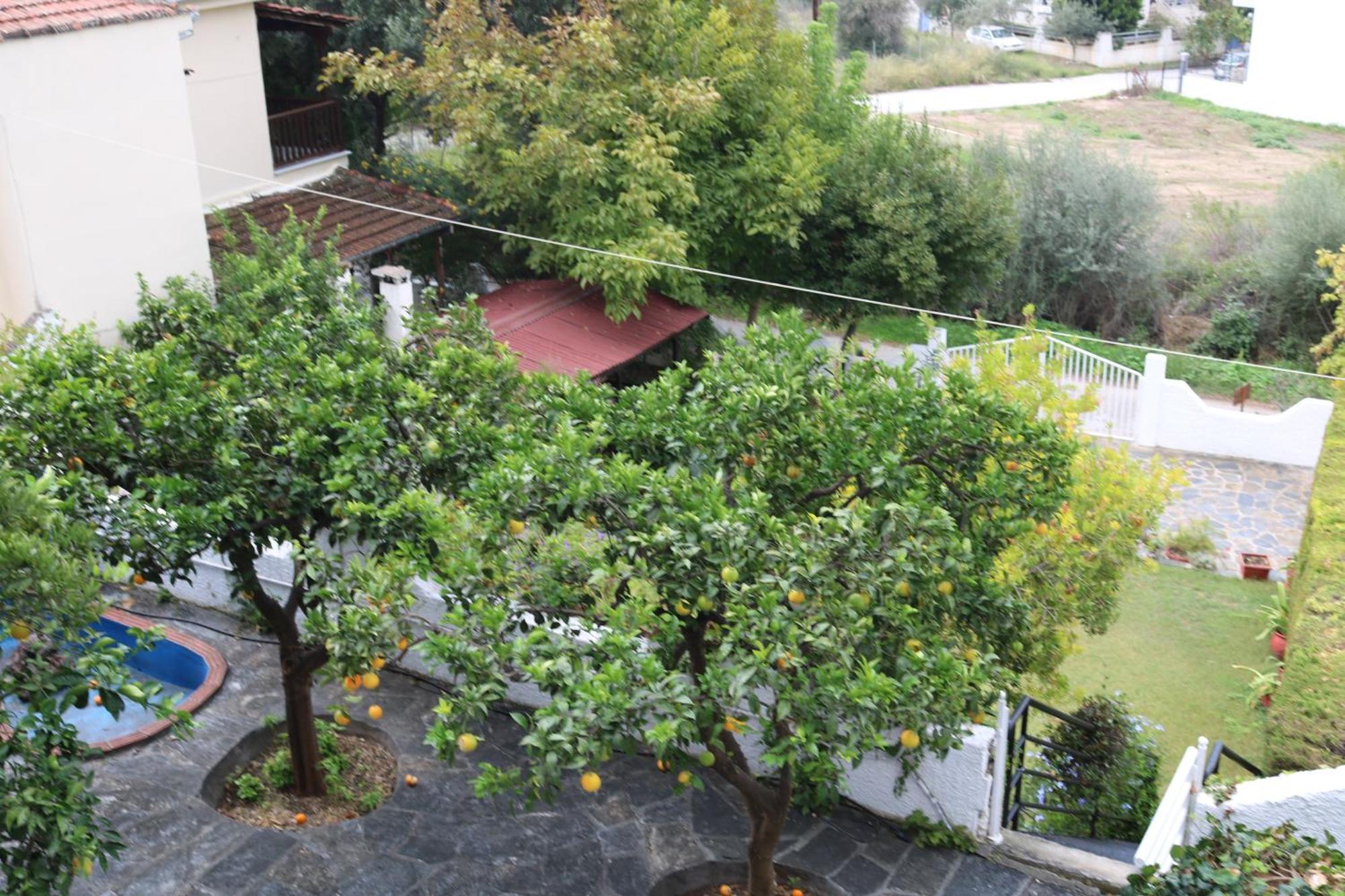 Villa Sofia Marathos (Thessaly) Exterior foto