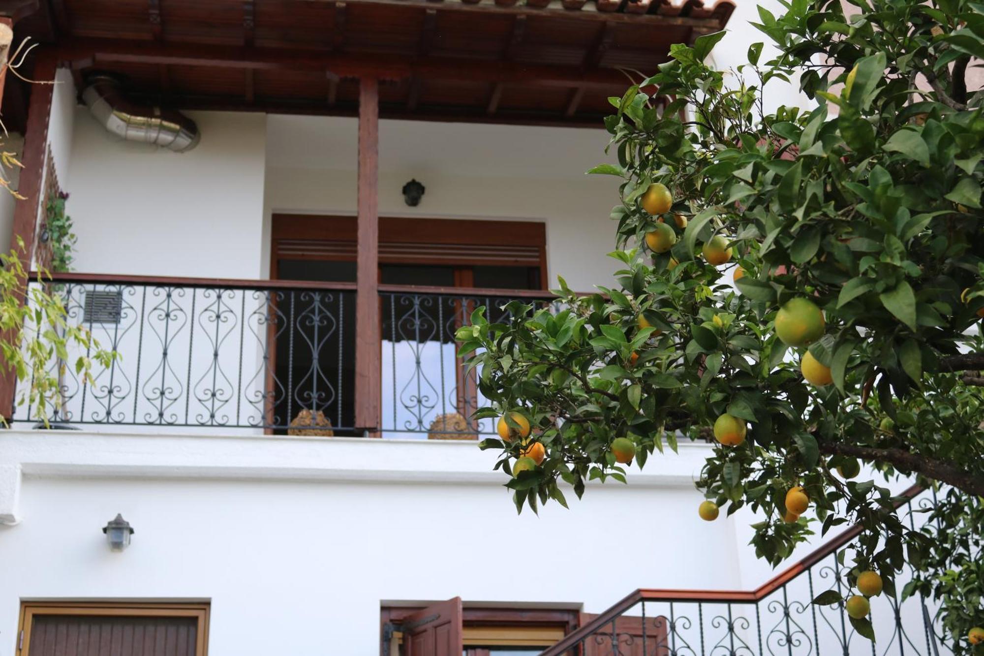 Villa Sofia Marathos (Thessaly) Quarto foto