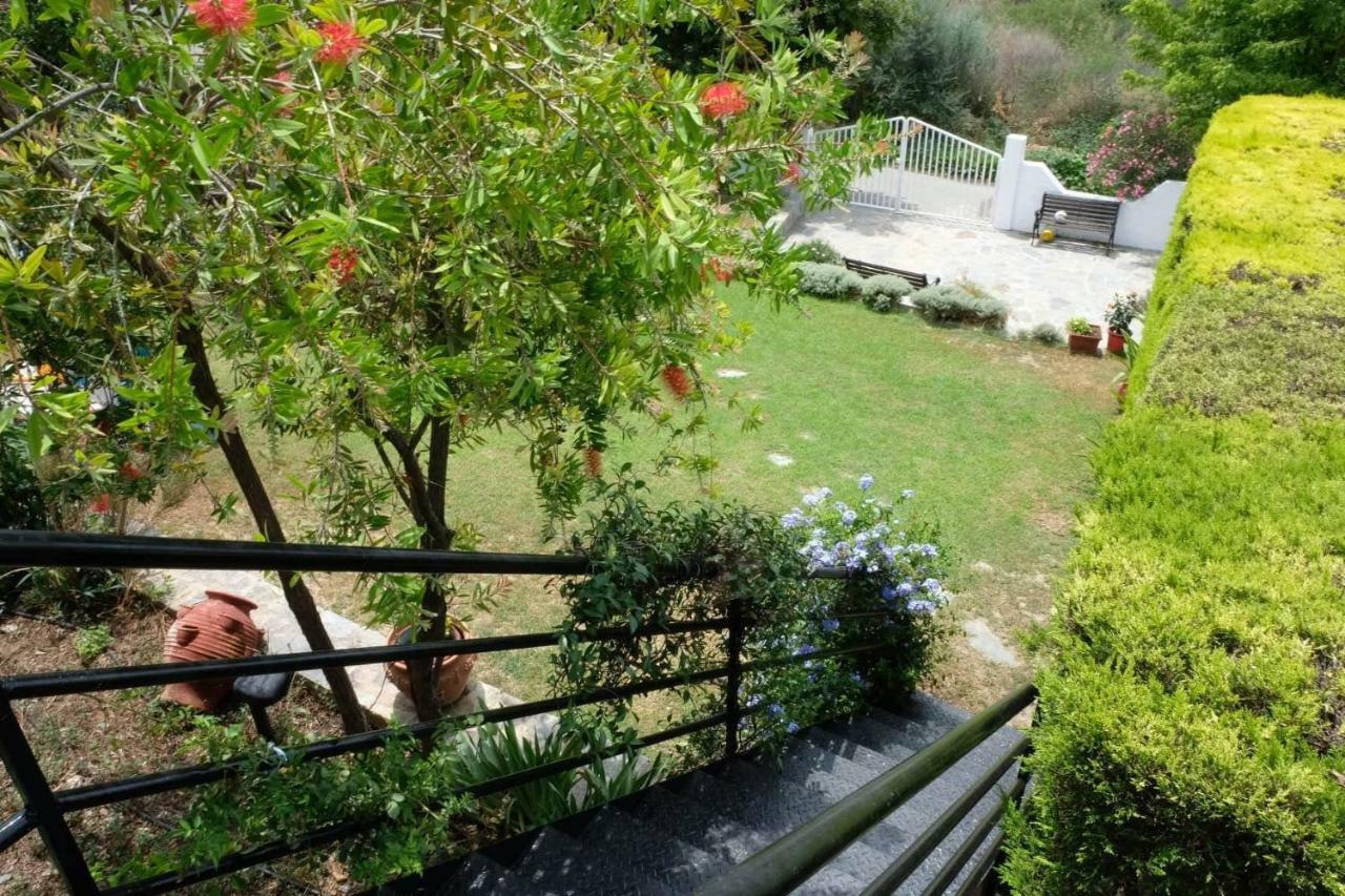 Villa Sofia Marathos (Thessaly) Exterior foto