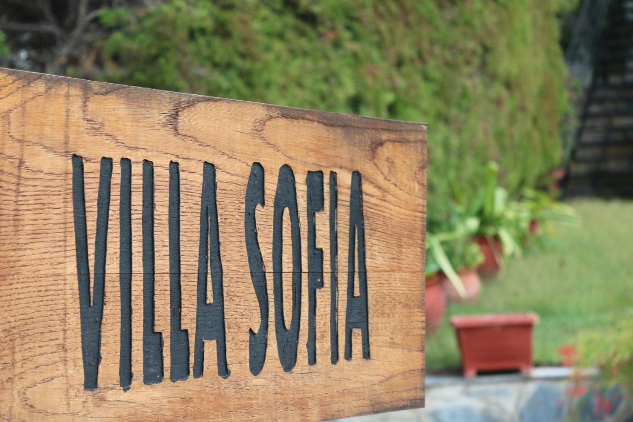 Villa Sofia Marathos (Thessaly) Exterior foto