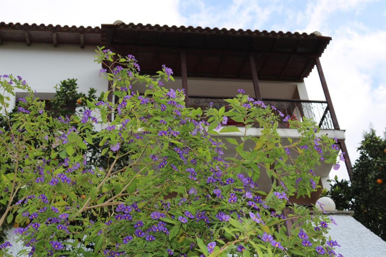 Villa Sofia Marathos (Thessaly) Exterior foto